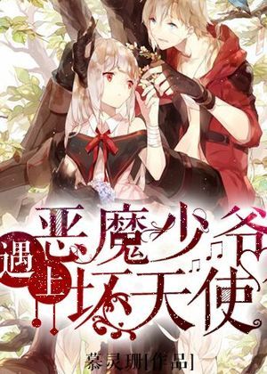 恶魔少爷遇上坏天使