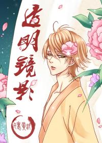 寂静恶灵·透明的镜影
