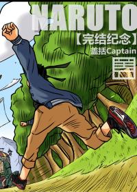 NARUTO完结纪念