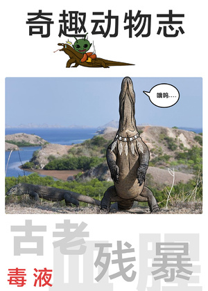 奇趣动物志