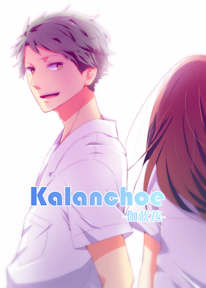 Kalanchoe -伽蓝花-