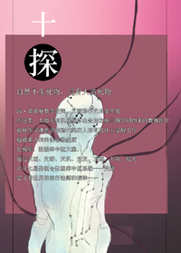 十探