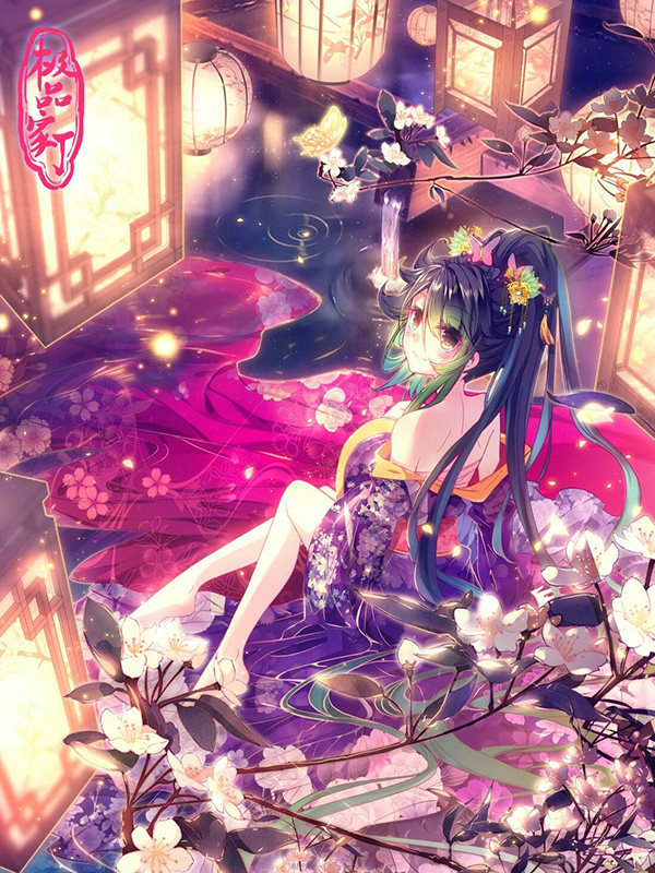 极品家丁