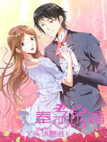 奉子成婚：丫头休想逃！