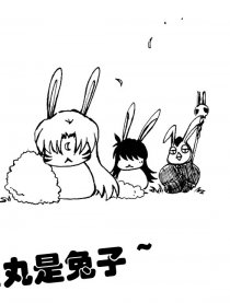 杀生丸是兔子