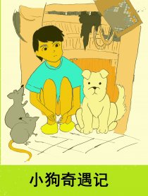 小狗奇遇记