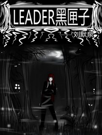 Leader黑匣子