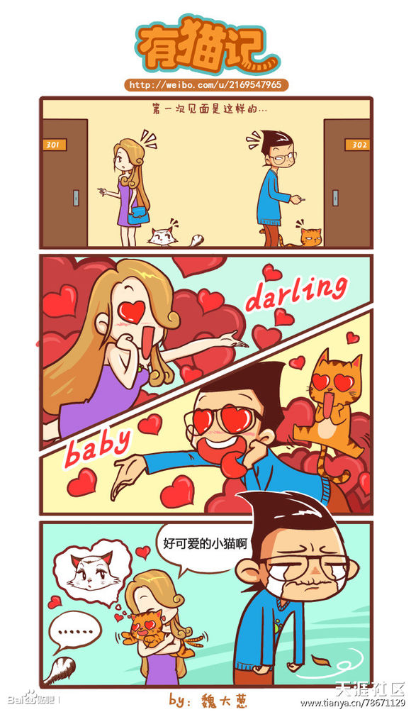 有猫记