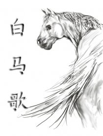 白马歌
