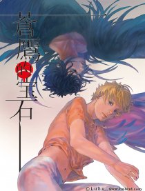 佐鸣／苍鹰的宝石