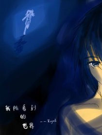 我所看到的世界