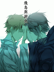 盗墓笔记－飞鸟与游鱼