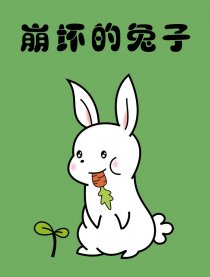 崩坏的兔子