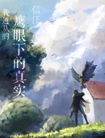 鹰眼下的真实