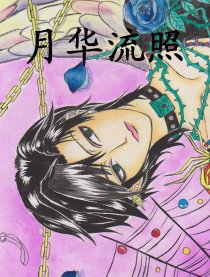 月华流照