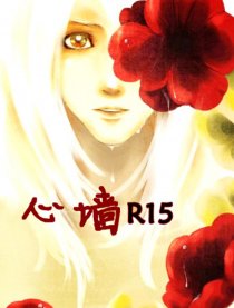 心墙（R15）