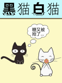 黑猫白猫