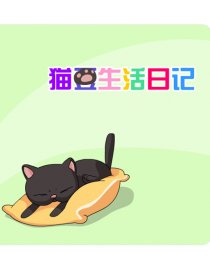 猫豆生活日记