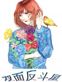 双面反斗星