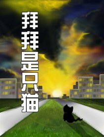 拜拜是只猫