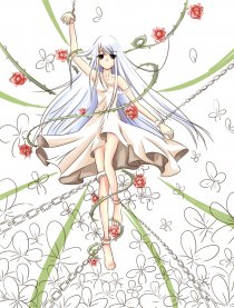 White lilac.白丁香