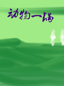 动物一锅
