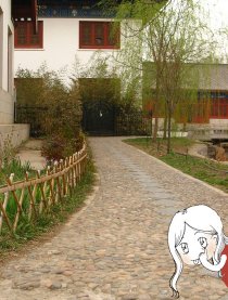 少年七和她的朋友们