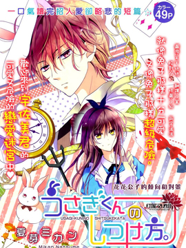 兔子先生的调教方法