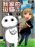 我家的街猫