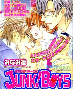 junkboys