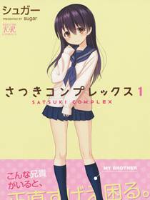 我的哥哥是伪娘,这样的哥哥不要紧吗,さつ