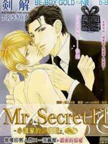 Mr. SecretFloor小说家