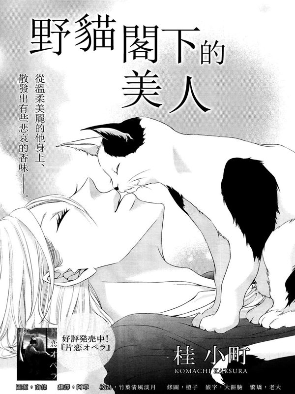 野猫阁下的美人