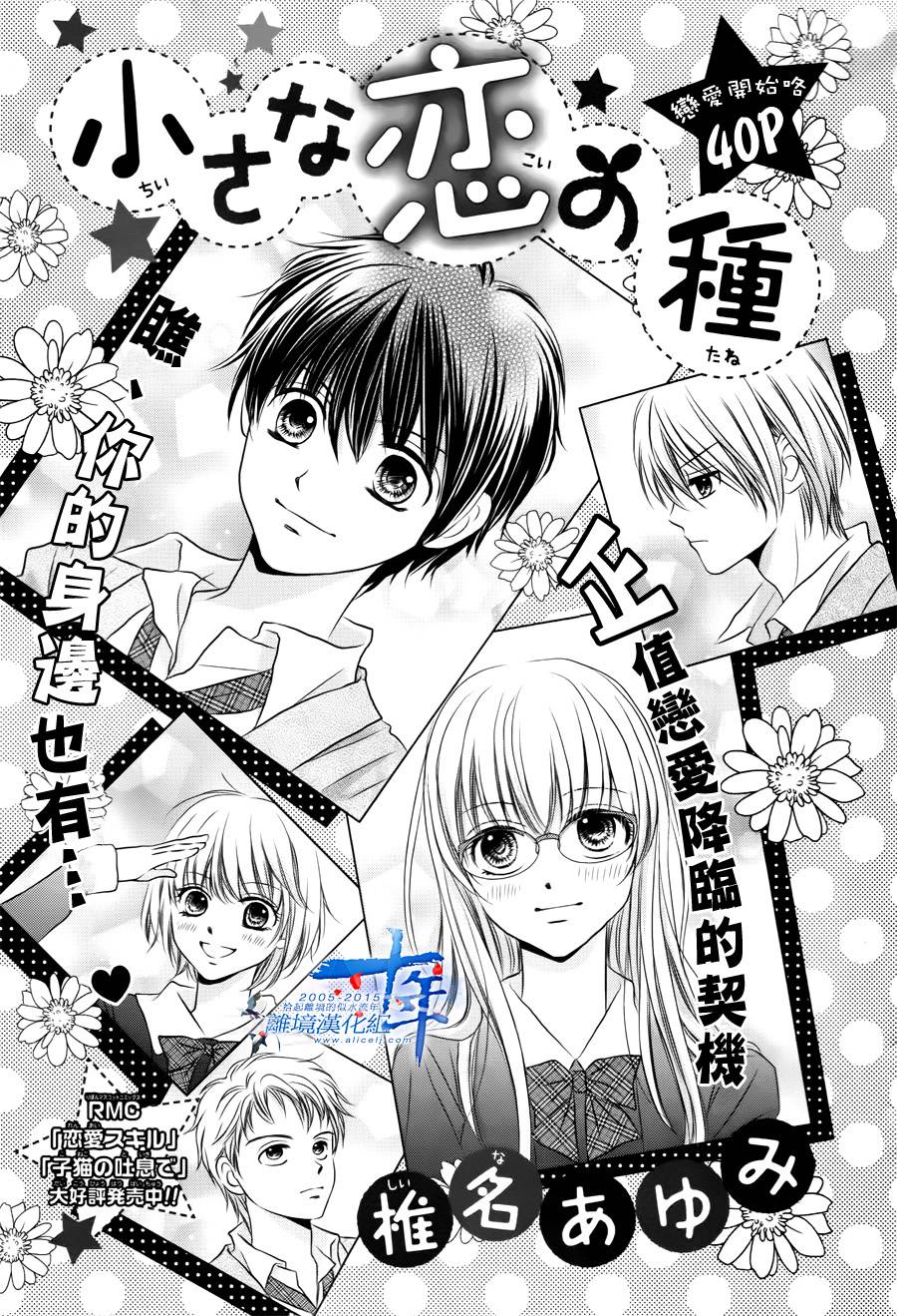 小小的恋爱种子