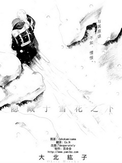 隐藏于雪花之下