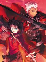 FATE Unlimited Embrace Works 无限拥抱
