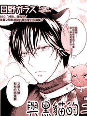 与黑猫的二人生活