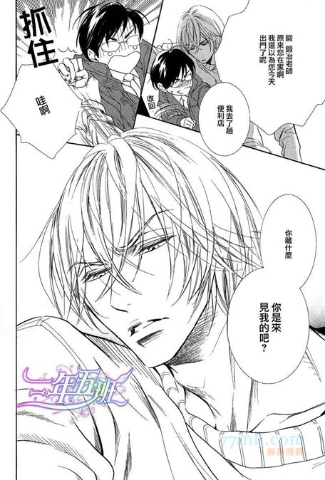 狗和猫和美好的工作