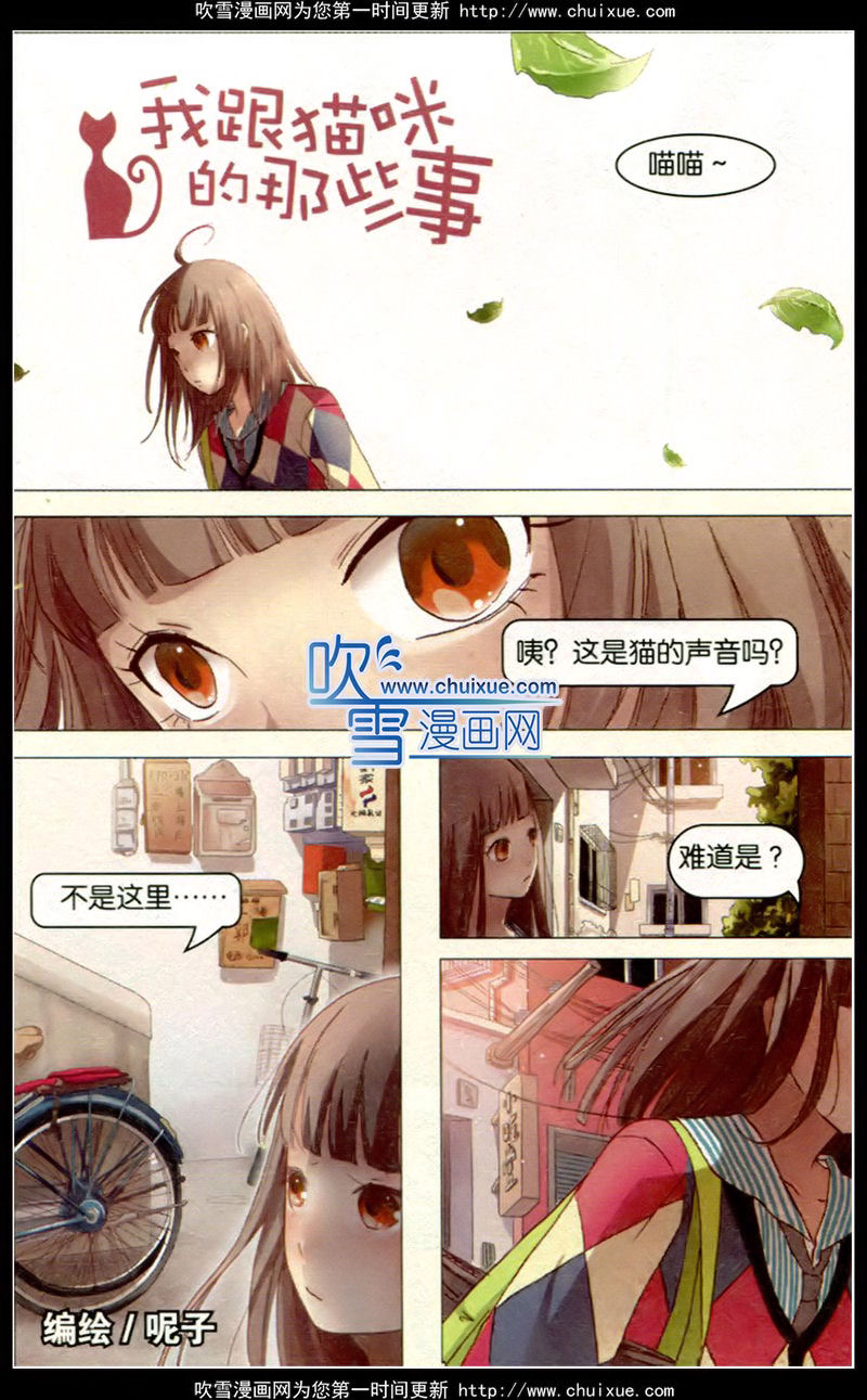 我跟猫咪的那些事
