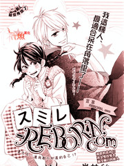 堇菜REBORN