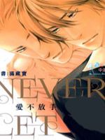 爱不放手NEVER LET GO