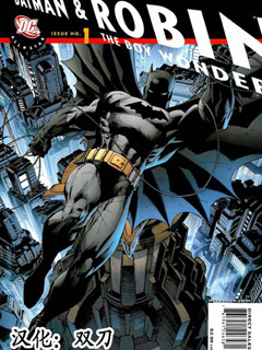 全明星蝙蝠侠与神奇小子罗宾