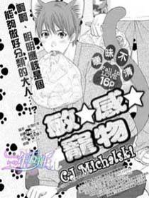 敏☆感☆宠物