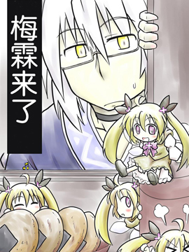 梅霖来了