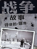 战争故事-呼啸的雄鹰
