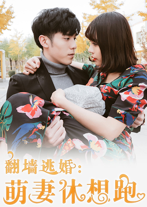 翻墙逃婚：萌妻休想跑