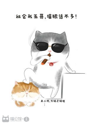 喵公馆