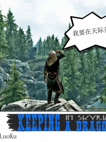 想在天际养条龙