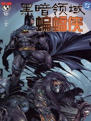 黑暗领域与蝙蝠侠