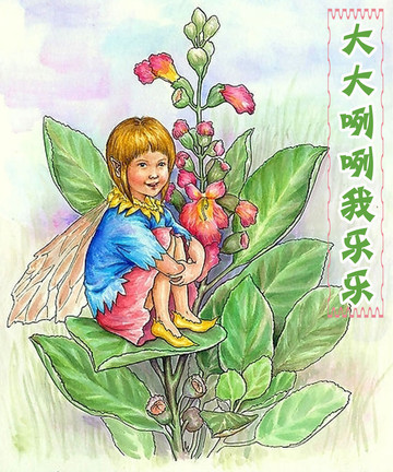 大大咧咧我乐乐